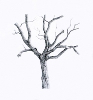 Tree2