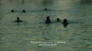 The Free Sea 67