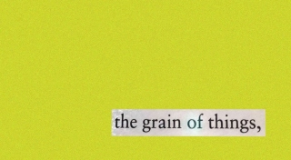 A snippet of text cut from a page reads 'the grain of things,' and is placed agains a lime green grainy background.