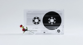 An image of a clear cassette with a small cut our rose.