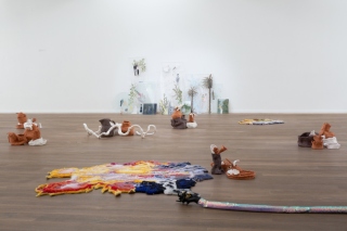 Install Shot of "Dissolving Beyond The Worm Moon" at Solstice Arts Centre, Navan, 2019 Photographs by Paul Gaffney
