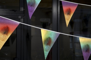 Triumph Club Bunting, 2017. Photo: Davey Moor