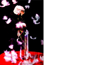 Jialin Long, Untitled, Bouncing up, Push me down, 2024. Courtesy the artist.