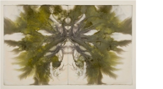 Clodagh Emoe, 'Caisearbhán', 2024