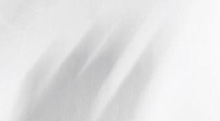 A black and white shadow image of a human hand as though in motion against a pale background with traces of printed text.