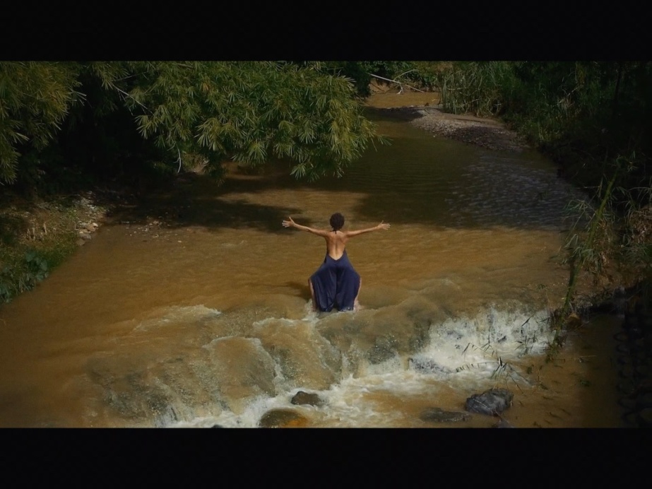 Maïa Nunes

'ARIMA', 2020, Video-Performance still, commissioned as part of Alternately Terrific & Gentle by Liz Roche Dance Company