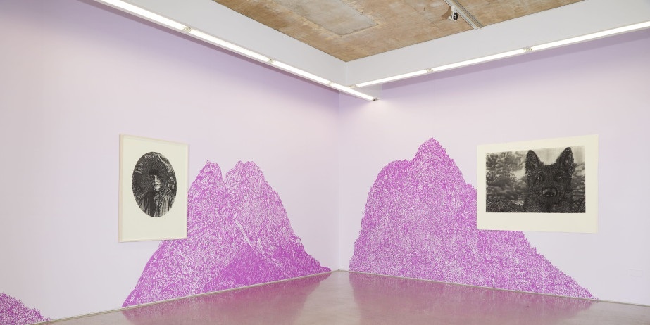 Gary Coyle

Dreaming Different Dreams, Installation shot, 2020, Charcoal on paper, digital drawing on vinyl. Courtesy Kevin Kavanagh Gallery.