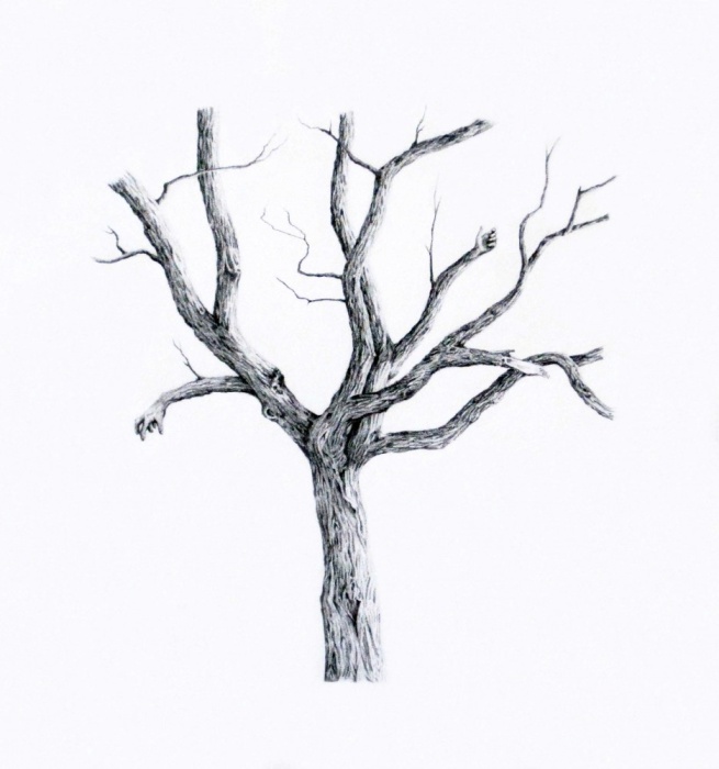 Drawing with Nature; Workshop for Kids