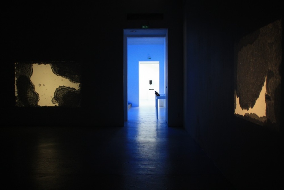 Temple Bar Gallery + Studios announces recipients of HIAP/TBG+S Residency 2015

'Human Meterology'; Hanna Husberg