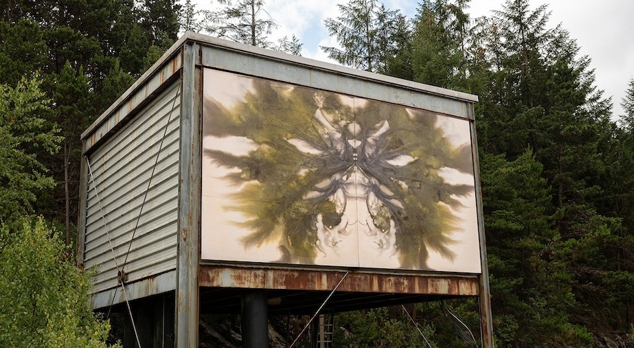 Summer School Workshop: Creating Wild Forms with natural plant dye with Clodagh Emoe

Courtesy of Clodagh Emoe.