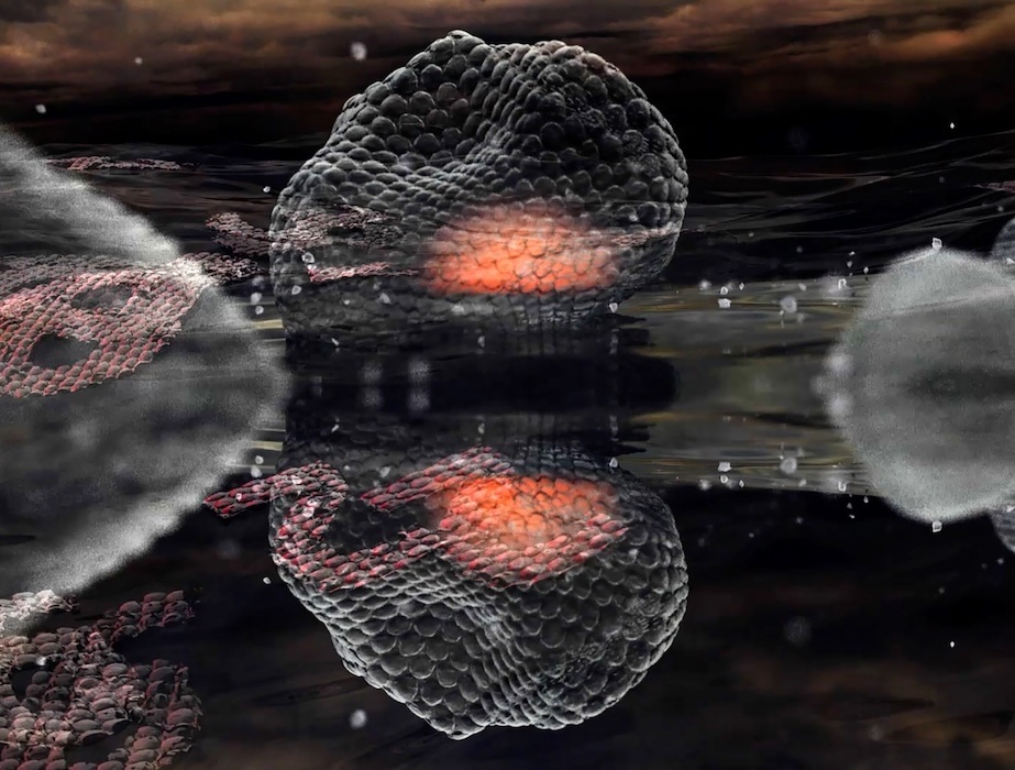 Ten artists are awarded studios at Temple Bar Gallery + Studios in 2026

Jaki Irvine, 'Floaters', 2024. Video still, dimensions and duration variable. Courtesy the artist and Frith Street Gallery, London, and Kerlin Gallery, Dublin.