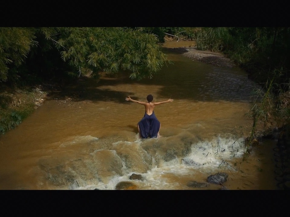 Maïa Nunes

'ARIMA', 2020, Video-Performance still, commissioned as part of Alternately Terrific & Gentle by Liz Roche Dance Company