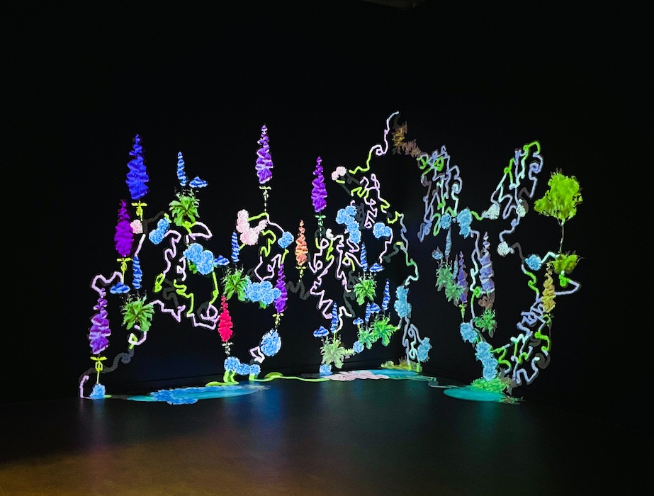 Open Call: International Studio &amp; Curatorial Program Residency 2023, New York

'Listen Liquid' (2020), 3 Channel projection installation, drawing & sound installation. Photography by Darren Ryan. Image courtesy of artist Aideen Barry.