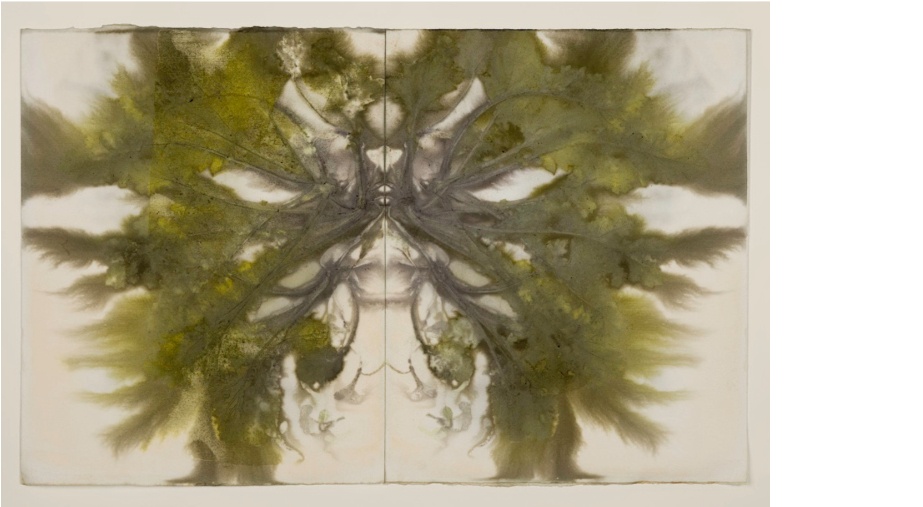 Artists’ Fundraiser for Médicins Sans Frontières in aid of Palestine and Lebanon

Clodagh Emoe, 'Caisearbhán', 2024