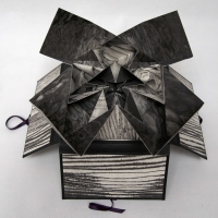 Nival event Sioban Piercy All that I know folded in your boundaries artists book NIVAL artists book collection event