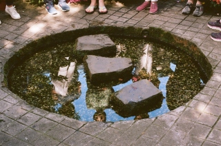 Tara Carroll, 'Art as Pilgrimage', 2022. Film Photograph by Clodagh O’Leary, courtesy the artist.
