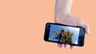 From the Studios Lynda Devenney event