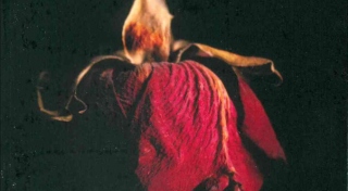 Rachel Carson, Silent Spring (Penguin Modern Classics)