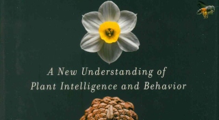Stefano Mancuso, The Revolutionary Genius of Plants: A New Understanding of Plant Intelligence and Behavior (Atria Books)