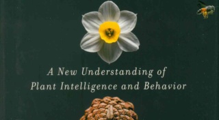 Stefano Mancuso, The Revolutionary Genius of Plants: A New Understanding of Plant Intelligence and Behavior (Atria Books)