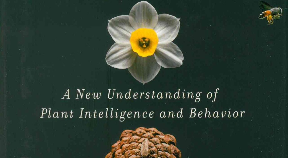 Design as an Attitude: Nominated books by Es Devlin, invited by Alice Rawsthorn

Stefano Mancuso, The Revolutionary Genius of Plants: A New Understanding of Plant Intelligence and Behavior (Atria Books)
