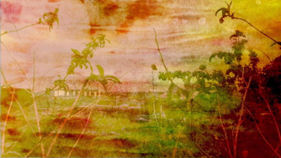 From the Studios: Richard Proffitt ‘You’re Not Dreaming Anymore’

(Still), 2020, Digital video, 1 min, colour, sound