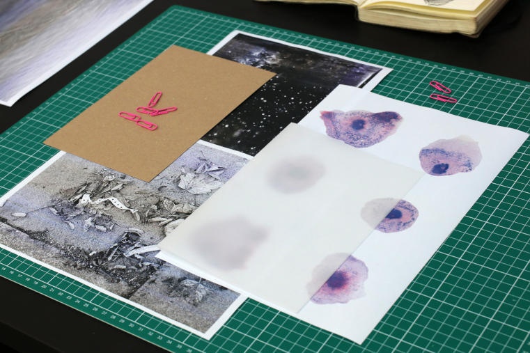 DABF19 Open Studio: Chloe Brenan