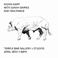 Tbgs bull animated