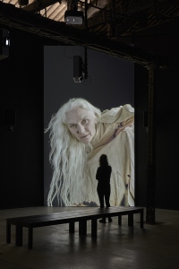 Jesse Jones, Tremble Tremble, Pavilion of Ireland of the 57th Venice Biennale (2017)