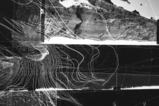 Catriona Leahy, Critical Zone: Bog Study I (detail), 2020. Analogue silver gelatine prints on resin coated paper. Courtesy the artist. Photography by Kate-Bowe O'Brien