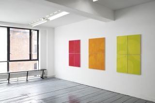 Eve O'Callaghan, Allotment, Studio 16, Temple Bar Gallery + Studios, Installation view, 2021. Photo: Bowe O’Brien Photography