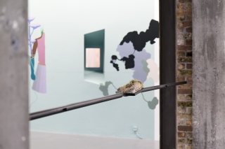 Otobong Nkanga, 'The Breath From Fertile Grounds', 2017, Installation view, Temple Bar Gallery + Studios. Photo: Kasia Kaminska