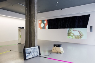 Installation view, Woodall, Hilary Lloyd, Temple Bar Gallery + Studios, 2017. Photo by Kasia Kaminska
