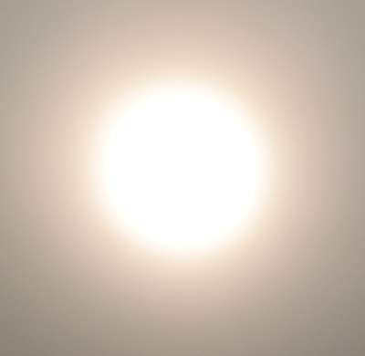 Niamh O'Malley, research image, 2023. Courtesy the artist.