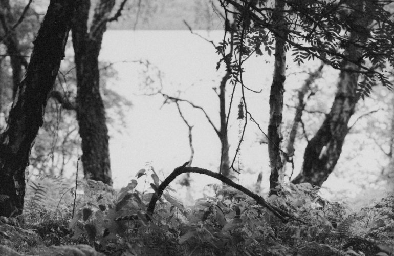 Gerard Byrne, 'Gestalt forms from Loch Ness: An anomalous photograph,' 2010.