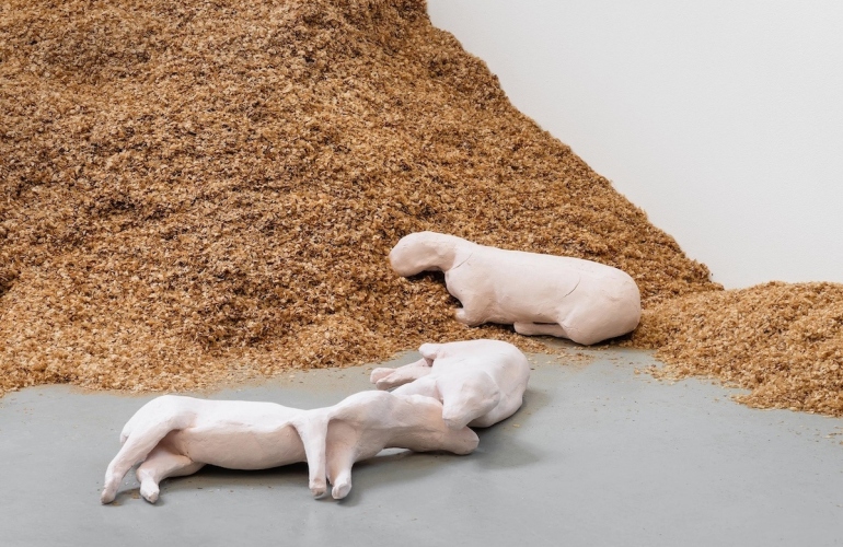 Caoimhe Kilfeather, 'experiments in living', 2022. Installation view, St Carthage Hall, Lismore Castle Arts. Courtesy the artist. Photo: Jed Nietsgoda.