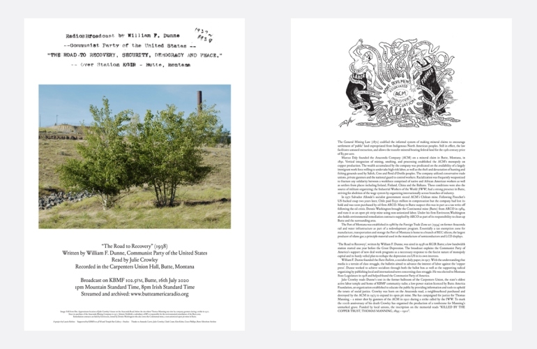 Laurie Robins The Road to Recovery Poster