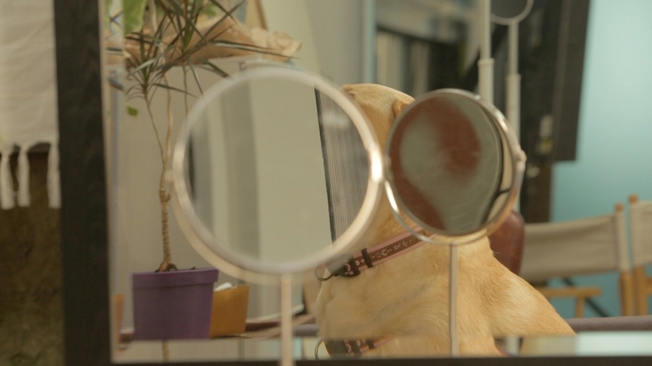 Ten artists awarded studios at Temple Bar Gallery + Studios

Jenny Brady, Still from Bone, 2015, Digital video, 10 minutes. Courtesy the artist.