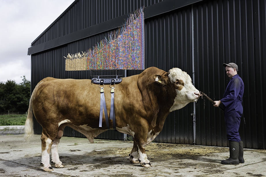 Maria McKinney

Maria McKinney, Production/Graph, Cloondroon Calling (QCD), 2016, Archival pigment print. 125 x 225 cm, Courtesy the artist.