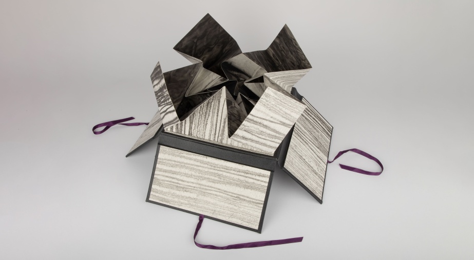 DABF24 Talk | NIVAL presents 'Books that don't fit'

Siobán Piercy, ‘All That I Know Folded in Your Boundaries’. Photo by Clare Lymer, image courtesy NIVAL.