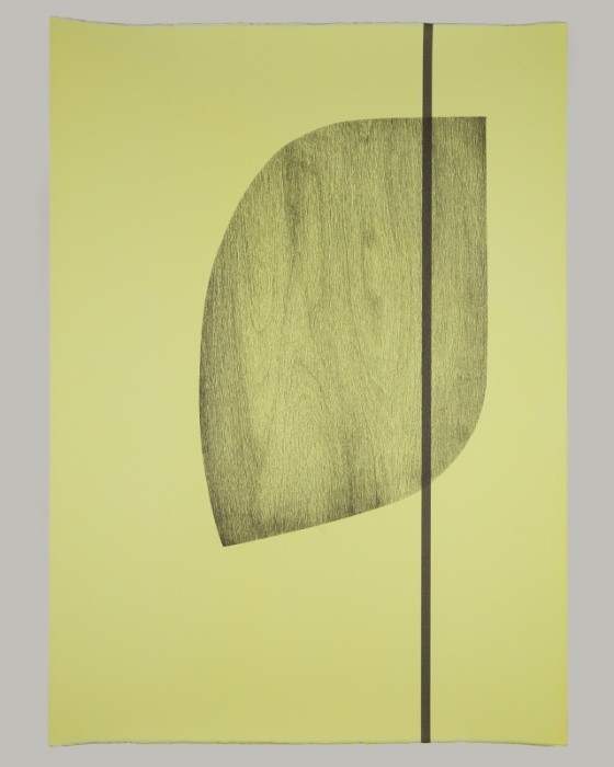 Support Ireland at Venice 2022 by purchasing a limited edition artwork by Niamh O'Malley

Niamh O'Malley, Flag, 2021