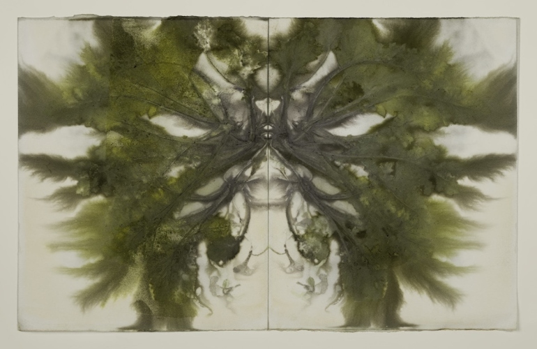 Clodagh Emoe, 'Caisearbhán', 2024